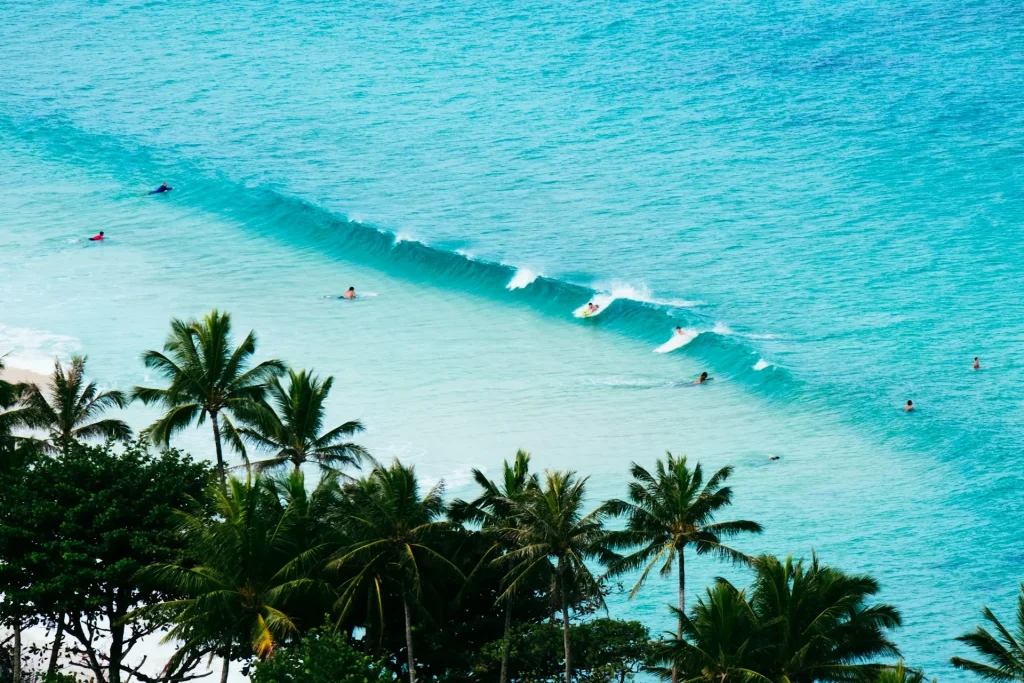 surfers in the caribbean
