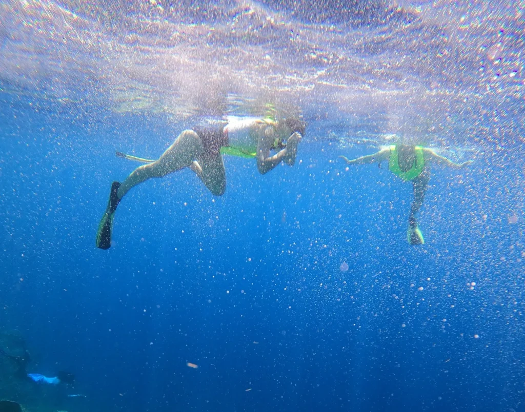 soufriere reef snorkeling