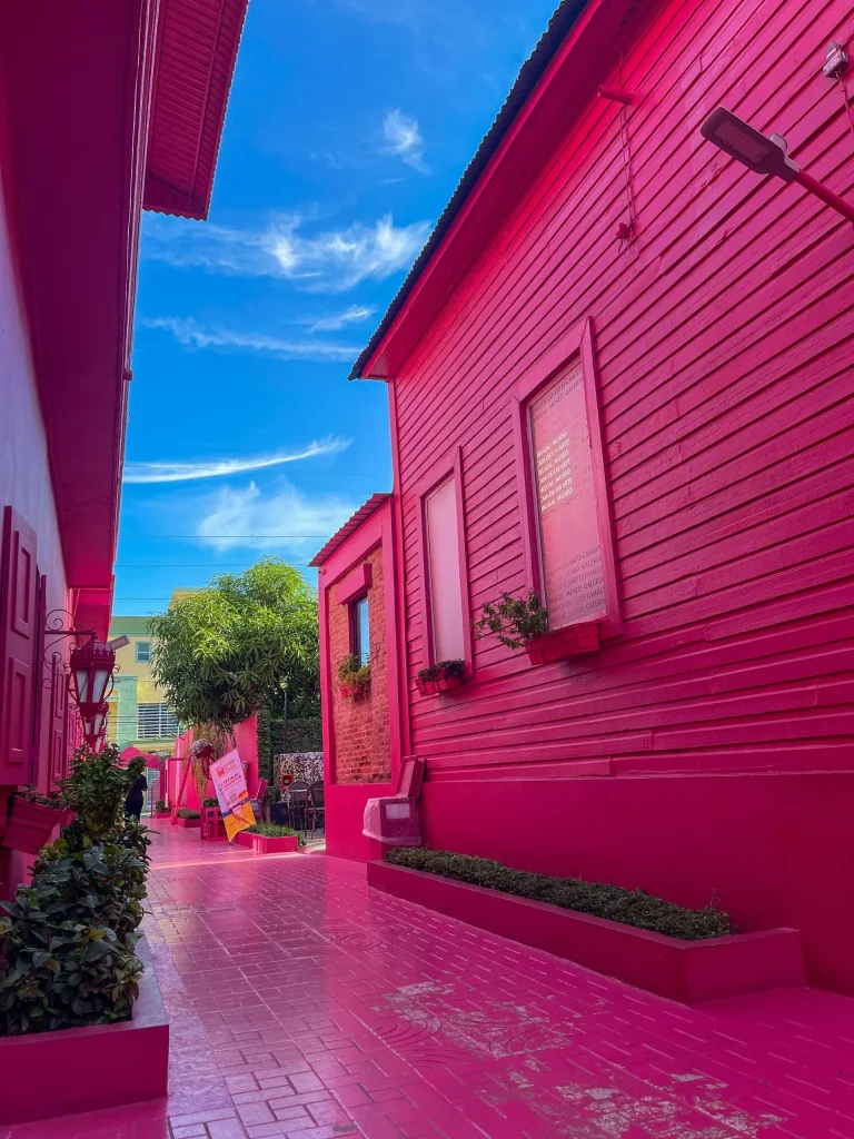 puerto plata pink street scaled