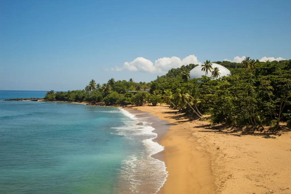 rincon puerto rico