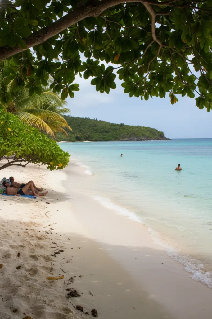 7 Best Hidden Beaches in The U.S. Virgin Islands (Away from the Crowds)