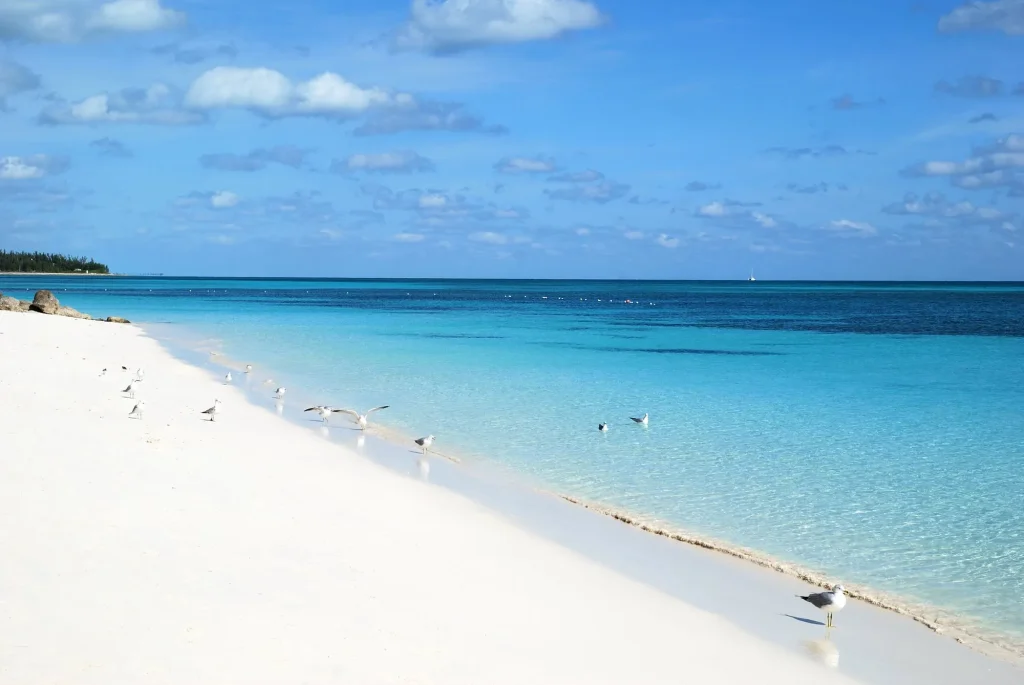 Lucaya beach Grand Bahama