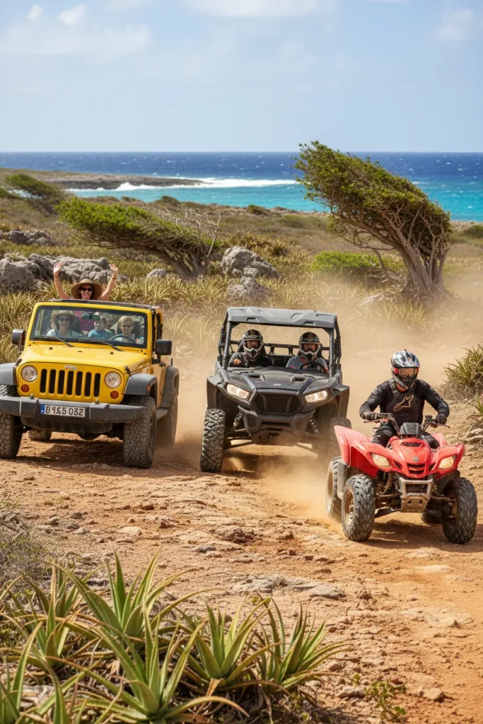 Should You Book A Jeep Tour, UTV Tour, Or ATV Tour In Aruba?