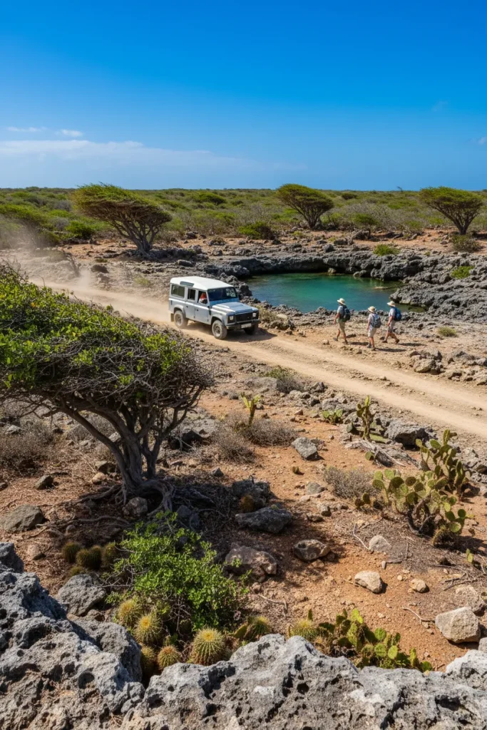 Should You Book An Arikok National Park Tour In Aruba Or Explore On Your Own?