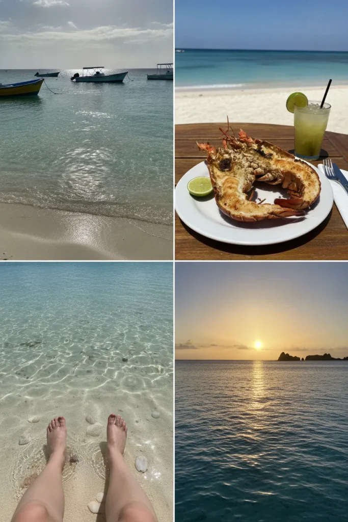 Which Tour In Anguilla Is Best If You Only Have One Day?
