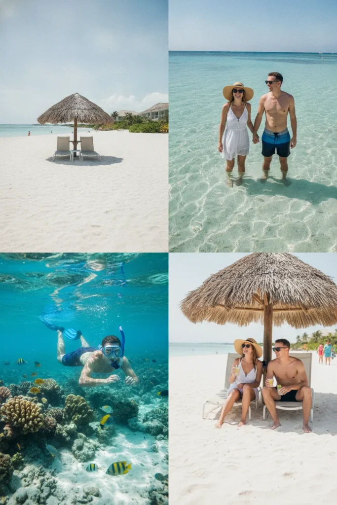 Which Tour In Grand Bahama Is Best If You Only Have One Day?